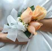 Miwe