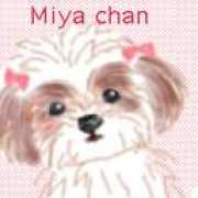 Miyachan