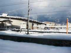 Miyauti