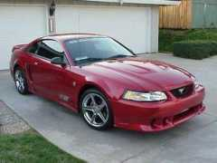 mustangworld.com Mjsa