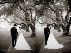 saskiamphotography.com Mjun