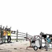 nation.co.ke Mkulima