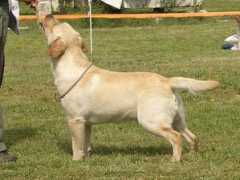 port.of.nessie.retriever.hu Mlrk