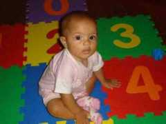 ccdb.gea.nom.br Mluiza