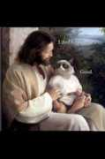mlkshk.com Mlx