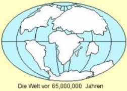 zum.de Mmeso