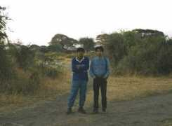 t3.rim.or.jp Mnandi