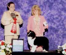 blueheavenshelties.com Mnat