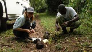 udzungwa.wildlifedirect.org Mndeme