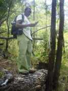 udzungwa.wildlifedirect.org Mndeme