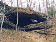 redrivergorgearches.com Mnsh