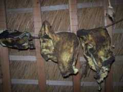 henkvanderveer.nl Moalen