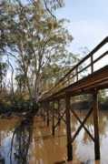 panoramio.com Moama
