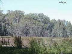 4wdonline.com Moama