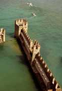Moat