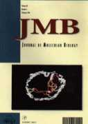 ibb.ut.ac.ir Mobasheri