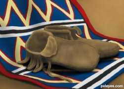 pxleyes.com Moccasin