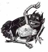 Mocci