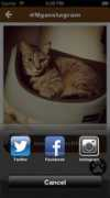 Mochiz