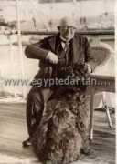 egyptedantan.com Modammed