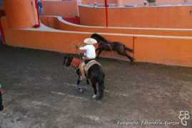 decharros.com Modragon