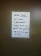 20min.ch Moelia