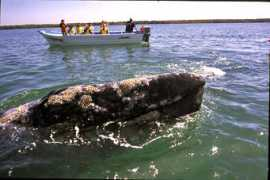 photographic-vision.net Moerschel