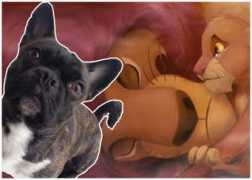 irlins.blogg.no Mofasa