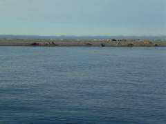 sailworks.net Moffen