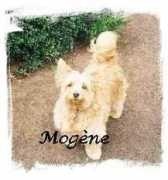 users.tvcablenet.be Mogene