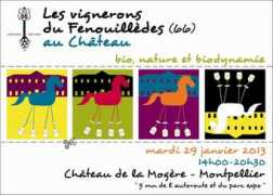 vins-fenouilledes.com Mogere