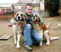 gotpetsonline.com Mogyorosi