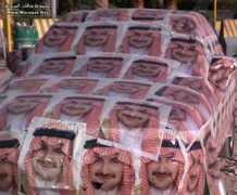 qwled.com Mohamadamin