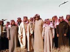 qwled.com Mohamadamin