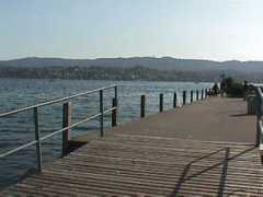 Mohle
