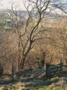 geograph.org.uk Mohope