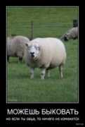 Mojesh