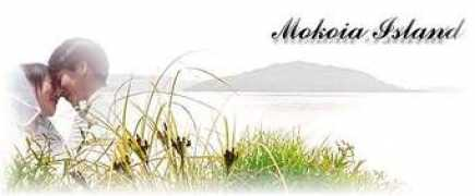 Mokoia