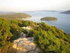 Molat