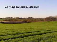 Molen