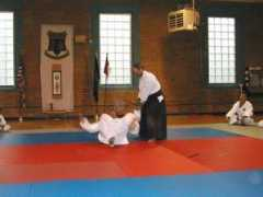 shotojuku.com Molerio