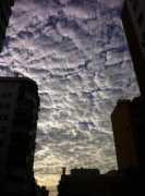 blogs.diariosur.es Moleros