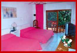 mexonline.com Molian