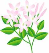 Molihua