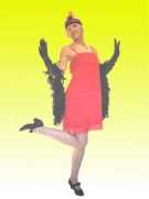 Moll