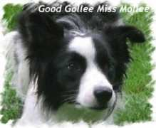 Mollee