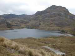 Molleturo