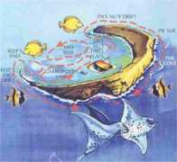 acsrentals.com Molokin