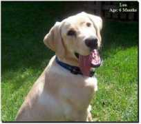 huntndogsestates.com Molou