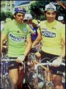Molteni